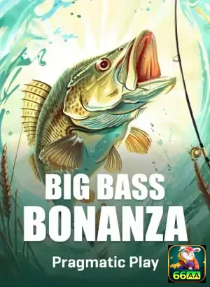 Experiência VIP: um tratamento personalizado para você - 66aa.com